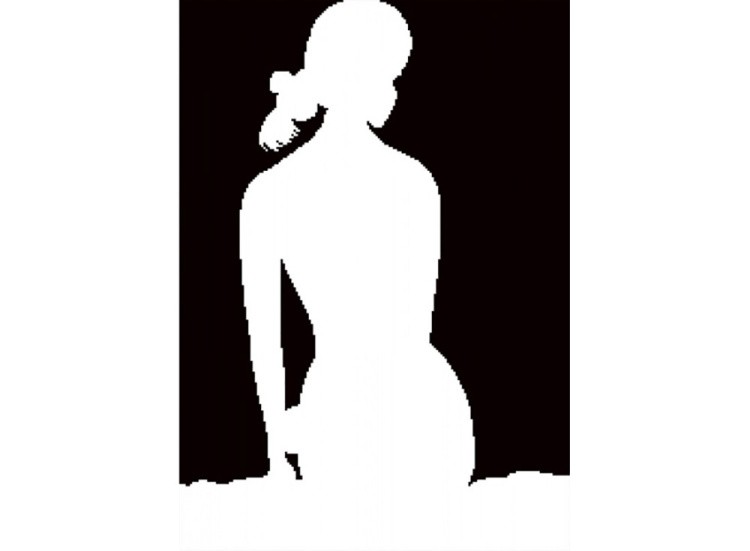 Алмазная вышивка «Женственность» — картинка 2