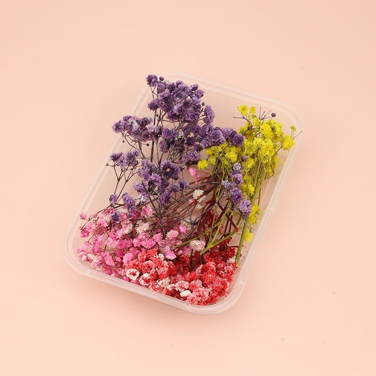 Сухоцветы Гипсофилы, 1 упаковка — картинка 5