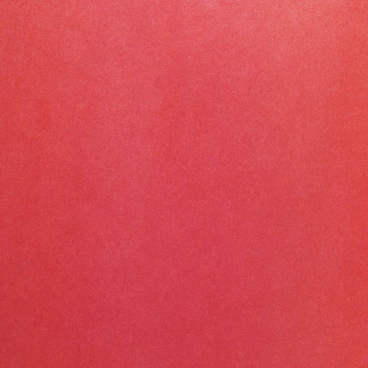 Цветная бумага А4 2-сторонняя газетная «Лисенок», 16 листов, 8 цветов, ПИФАГОР — картинка 3