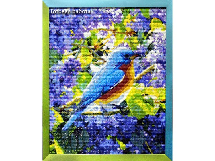 Алмазная вышивка «Птичка» — картинка 3