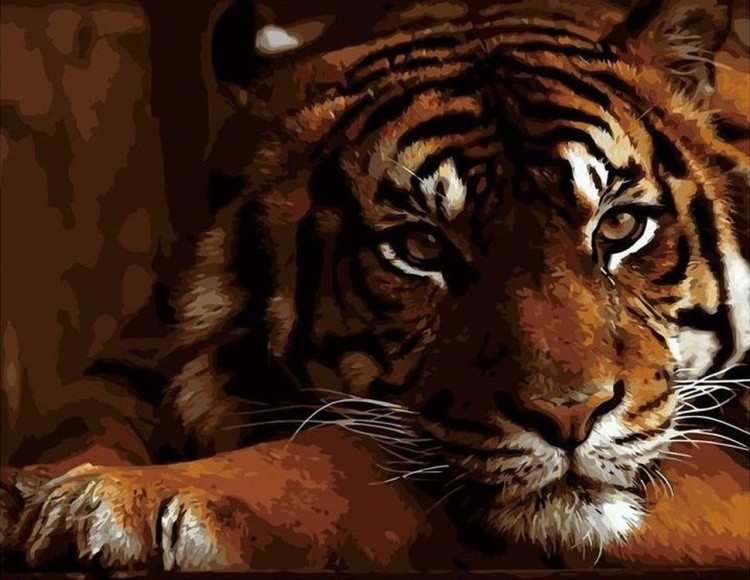 Картина по номерам «Задумчивый тигр»