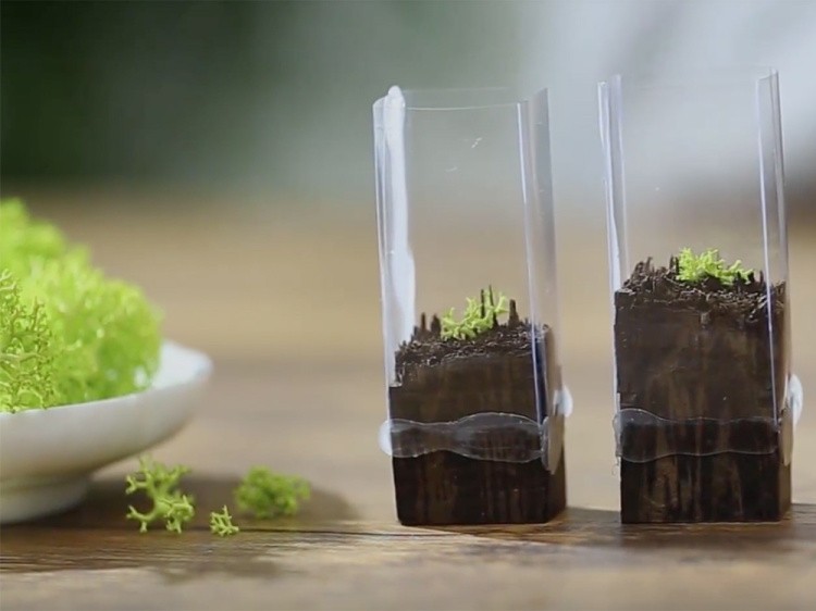 Мох ягель стабилизированный зеленый — картинка 3