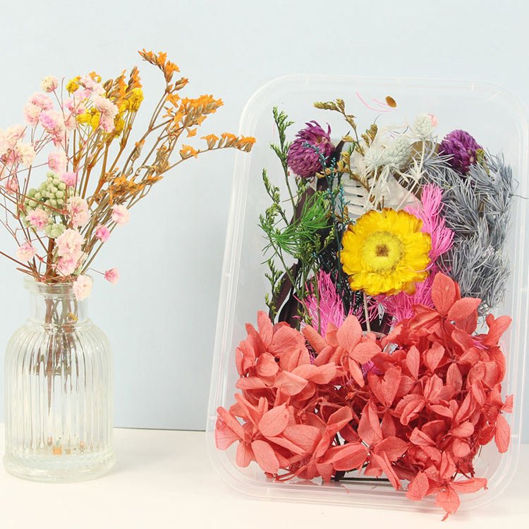 Набор сухоцветов, 1 упаковка — картинка 6