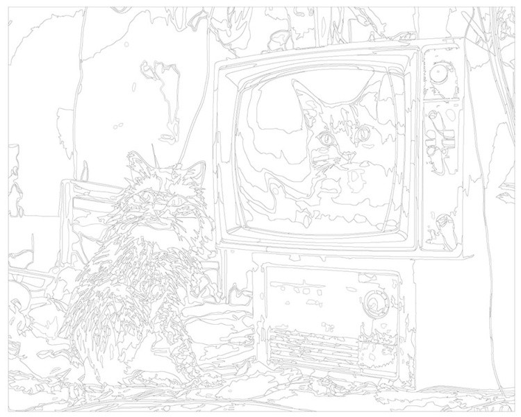 Картина по номерам «Кот рядом со старым телевизором» — картинка 3