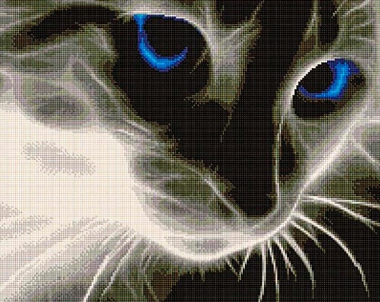 Алмазная вышивка «Призрачный котик»