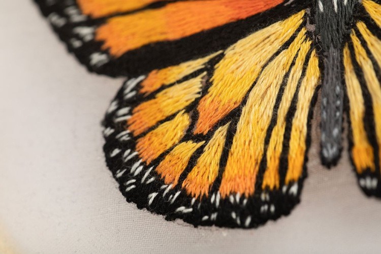 Набор для вышивания «Бабочка. Монарх» — картинка 2