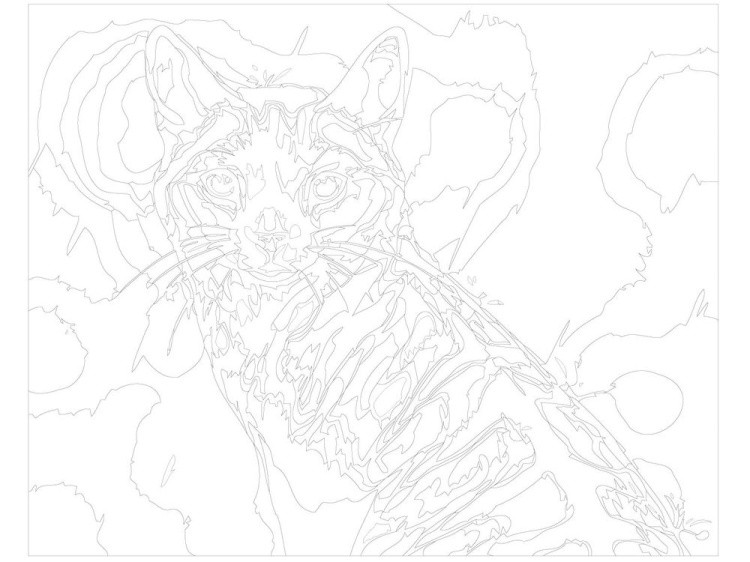 Картина по номерам «Кот под дождём» — картинка 3