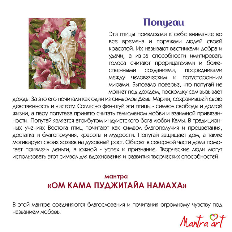 Картина по номерам «Попугаи» — картинка 4