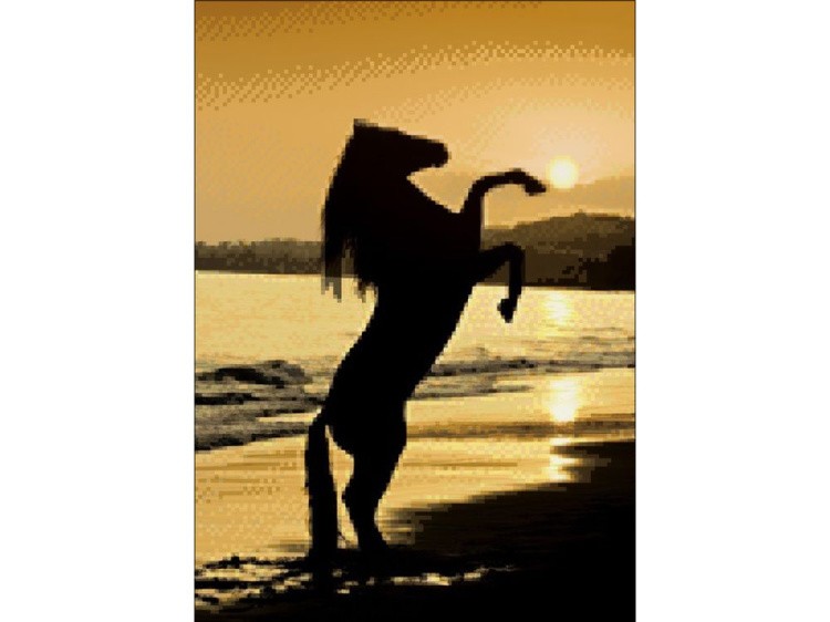 Алмазная вышивка «Лошадь на закате» — картинка 2