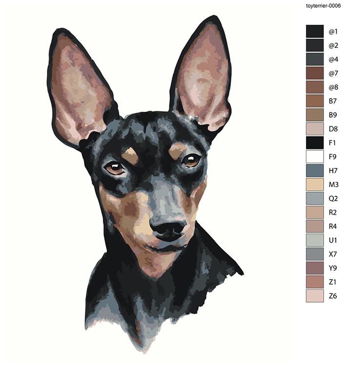 Картина по номерам «Собаки: Той терьер арт рисунок 40x50» — картинка 2