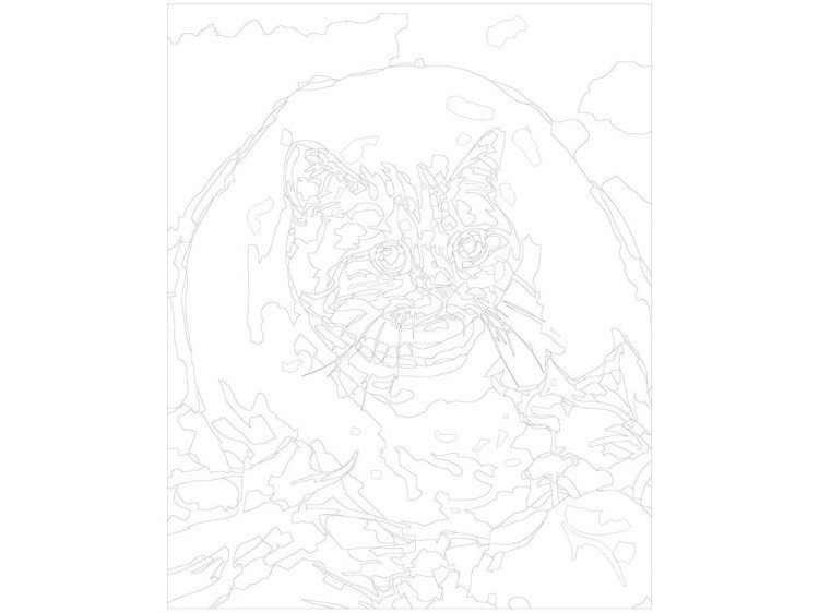 Картина по номерам «Осенний кот» — картинка 3