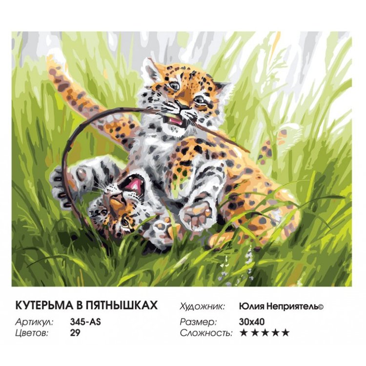 Картина по номерам «Кутерьма в пятнышках» — картинка 2