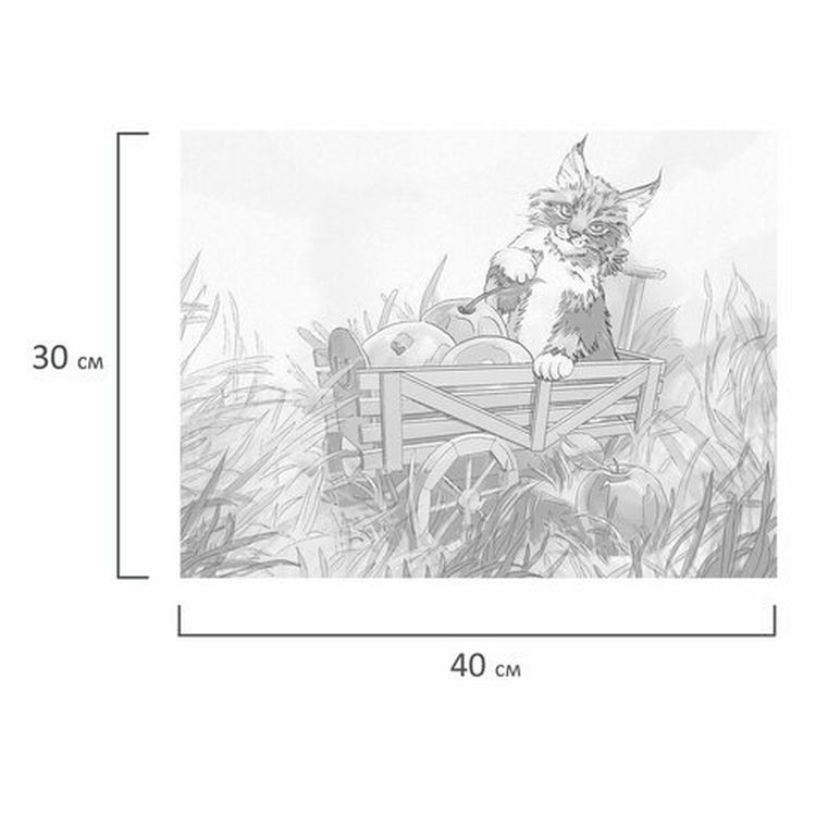 Холст на картоне с контуром BRAUBERG ART CLASSIC «Кот», 30х40 см, грунтованный, хлопок — картинка 3