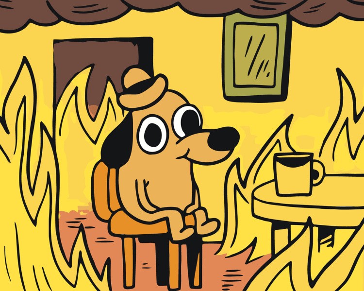 Картина по номерам «Мем: This is fine»