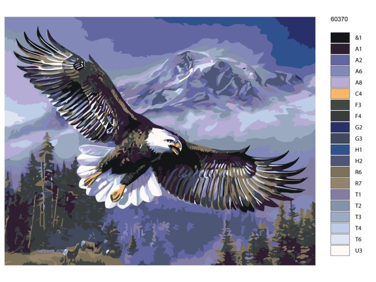 Картина по номерам «Полёт орла» — картинка 2