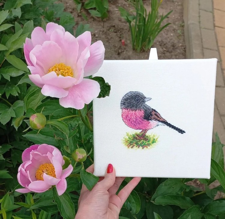 Набор для вышивания «Австралийская петроика» — картинка 3