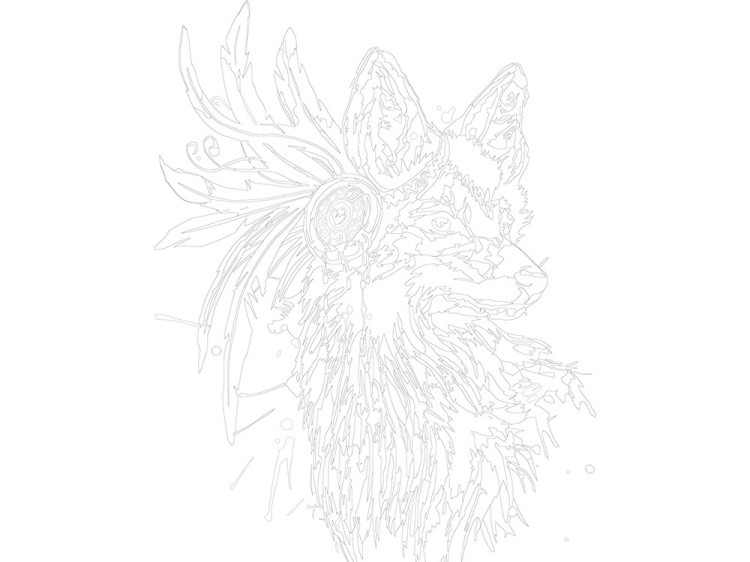 Картина по номерам «Лис - ловец снов» — картинка 3