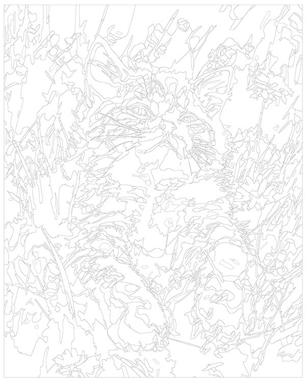 Картина по номерам «Котенок лежит в траве на полянке» — картинка 3