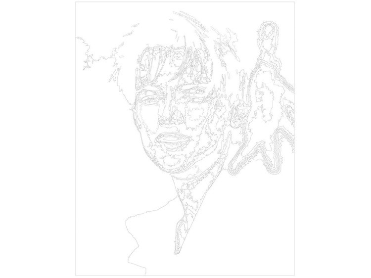 Картина по номерам «Леонардо ди Каприо 2» — картинка 3