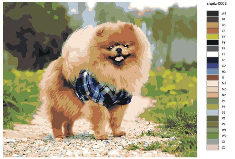 Картина по номерам «Собаки: Шпиц в костюме в парке 40х50» — картинка 2