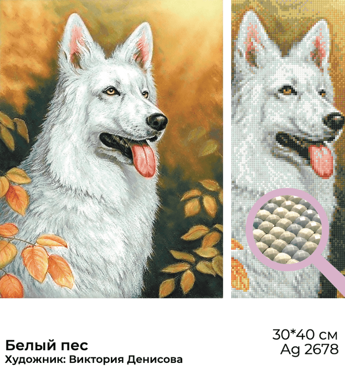 Алмазная вышивка «Белый пес» — картинка 3
