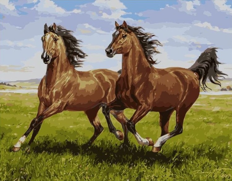 Картина по номерам «Лошади летом»