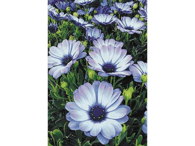 Алмазная вышивка «Альпийские цветы» — картинка 2