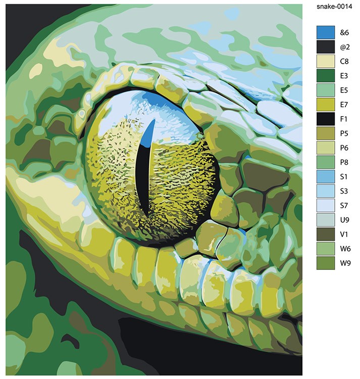 Картина по номерам «Глаз зеленой змеи, Символ года, животные» — картинка 2