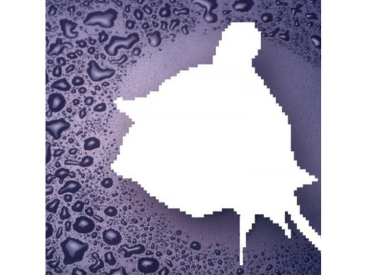 Алмазная вышивка «Желтая роза» — картинка 2