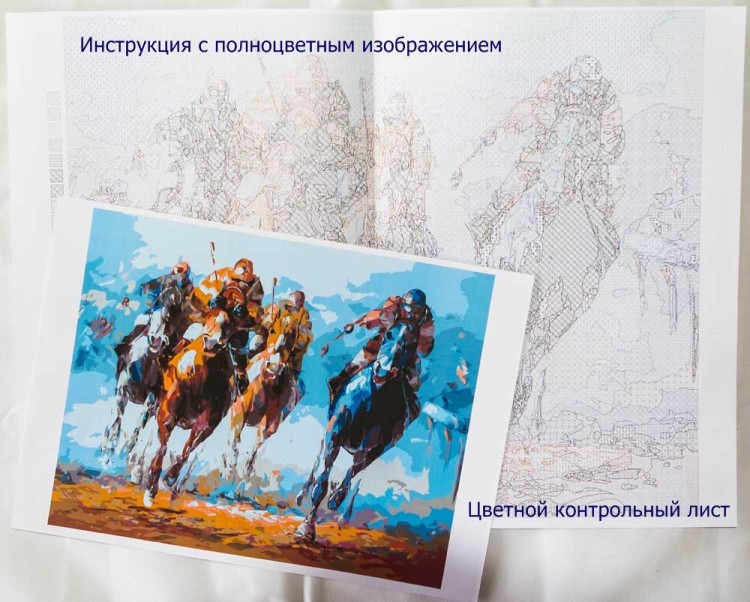 Картина по номерам «Высоко в небе» — картинка 5