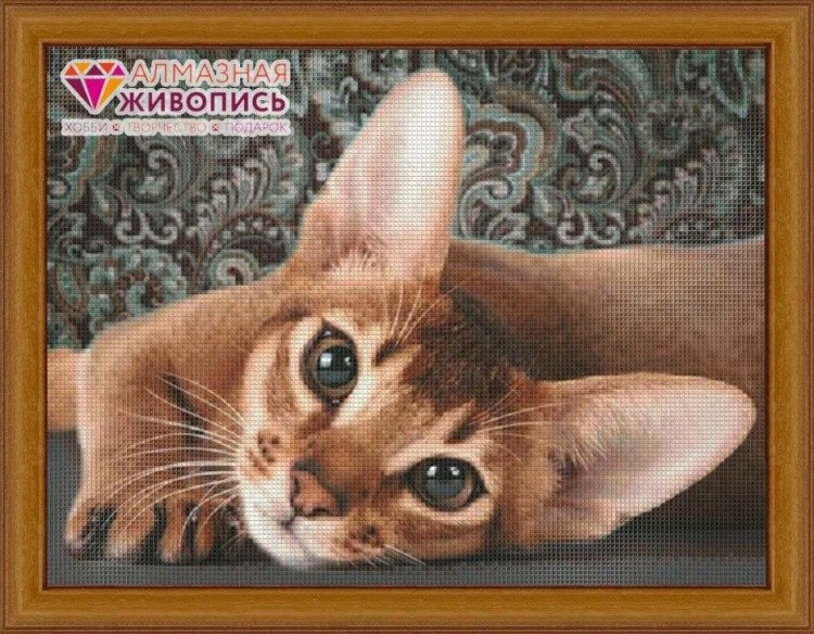 Алмазная вышивка «Абиссинская кошка»