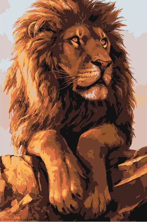 Картина по номерам «Задумчивый лев»