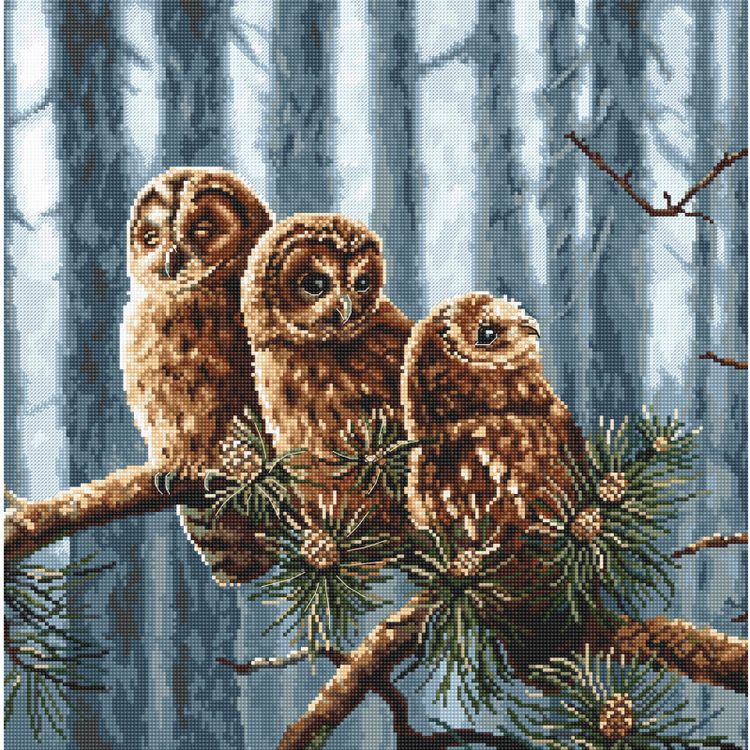 Набор для вышивания «Owls family»