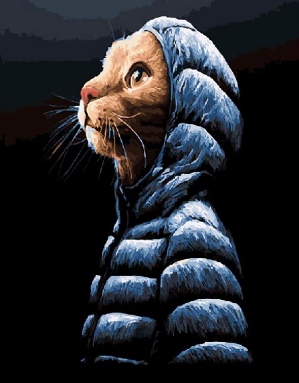 Картина по номерам «Кот в пуховичке»
