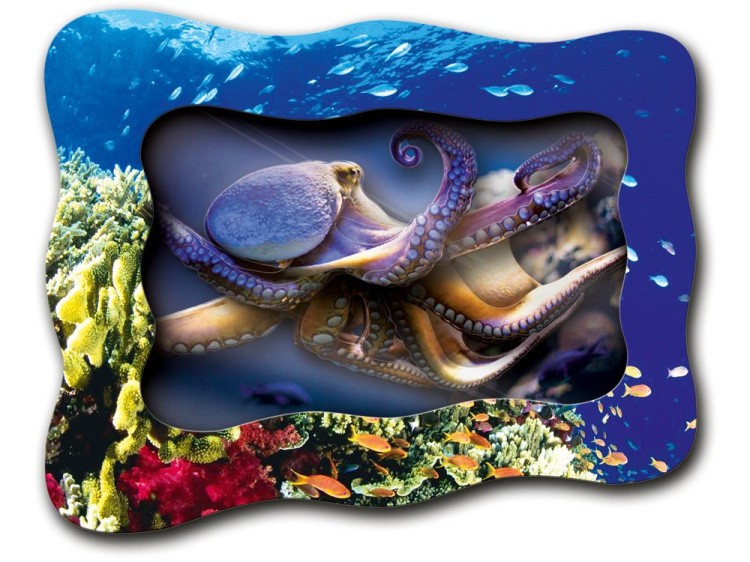 Объемная картина «Осьминожка» — картинка 2