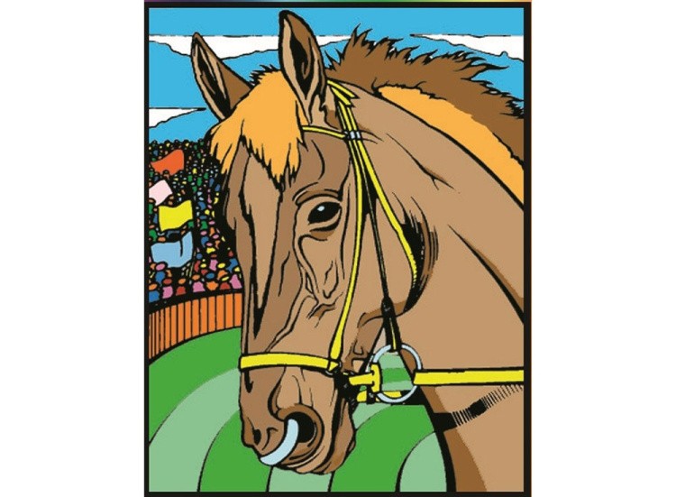 Папка-раскраска «Лошади» + 10 маркеров — картинка 3