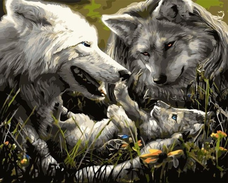 Картина по номерам «Волчья семья»