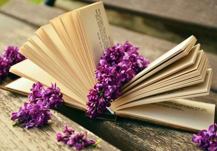 Картина по номерам «Дневник памяти» — картинка 2