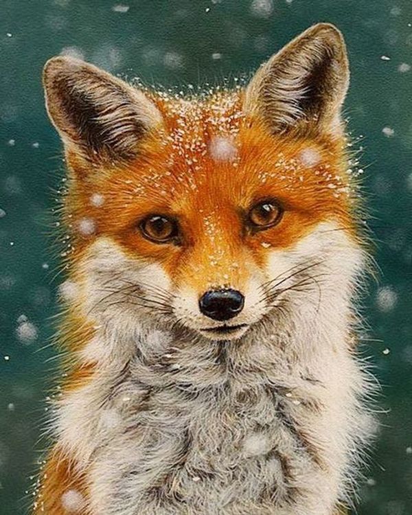 Алмазная вышивка «Лисичка» — картинка 2