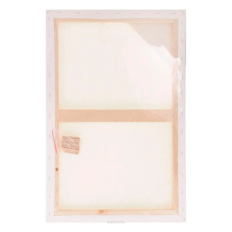 Холст грунтованный на подрамнике Малевичъ, хлопок, 50x100 см — картинка 2