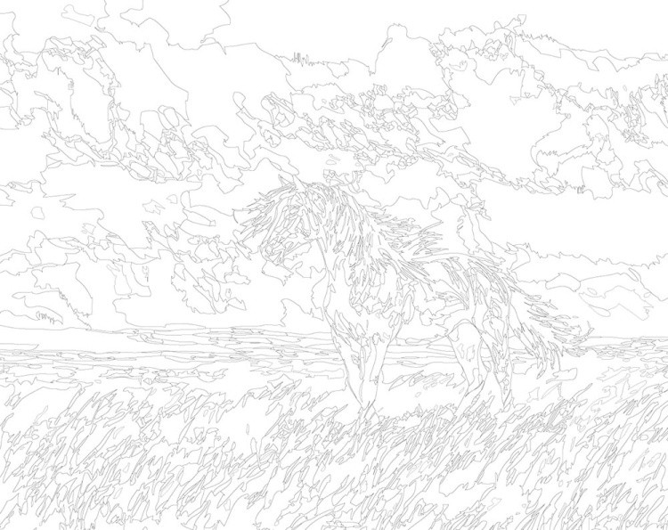 Картина по номерам «Животные: лошадь на зеленом лугу, пейзаж» — картинка 3