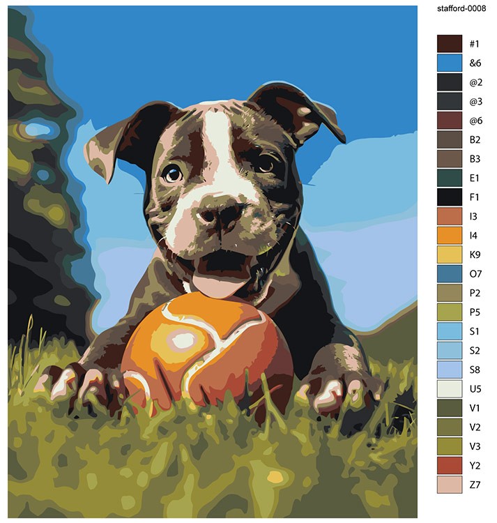 Картина по номерам «Собака Стаффорд (Стаффордширский терьер) щенок 2» — картинка 2