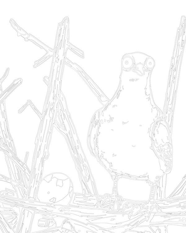 Картина по номерам «Птица голубь в своем гнезде арт 40x50» — картинка 3