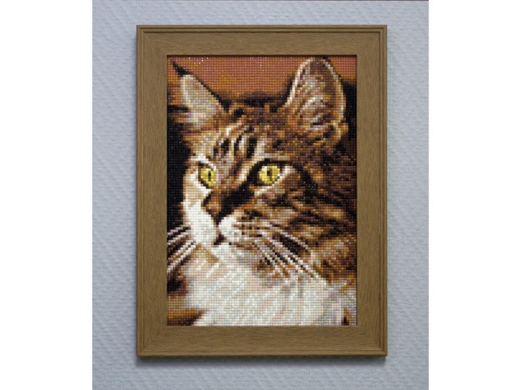 Алмазная вышивка «Домашний кот» — картинка 4