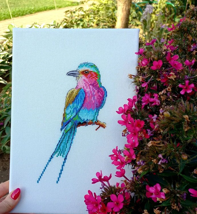 Набор для вышивания «Бенгальская ракша» — картинка 4