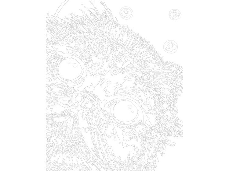 Картина по номерам «Пора просыпаться» — картинка 3