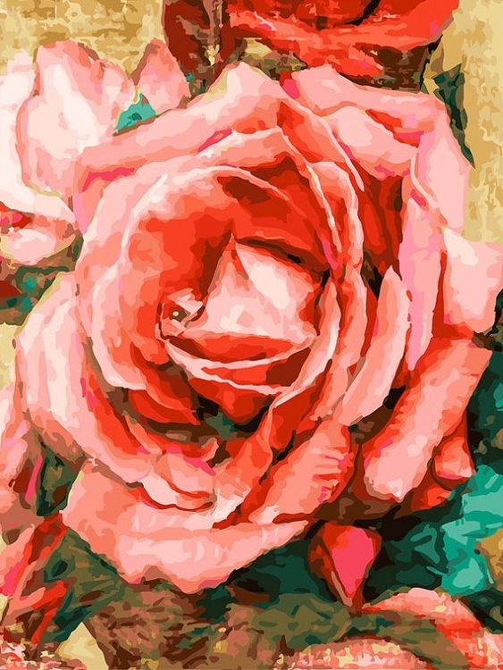 Картина по номерам «Благородная роза»