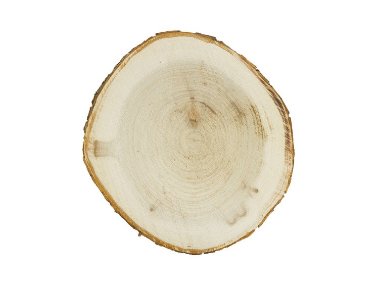 Срез дерева СРЕЗ-06, d 23 см, 1 шт., Blumentag