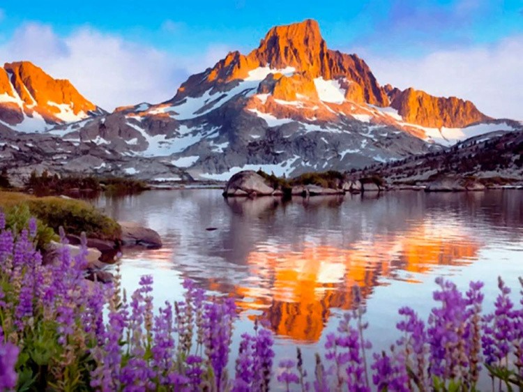 Набор вышивки бисером «Лавандовый пейзаж» — картинка 2