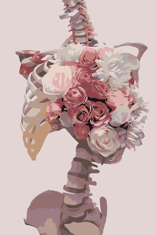 Картина по номерам «Скелет и розы»